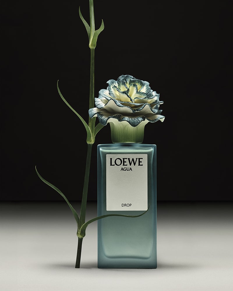 Loewe-Lladro_abril_03117299