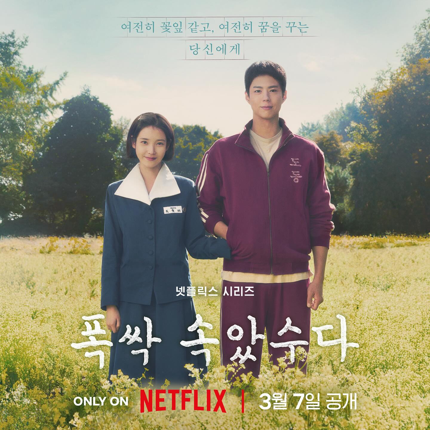 netflixkr_1737598768_3551558340285377493_2521010606